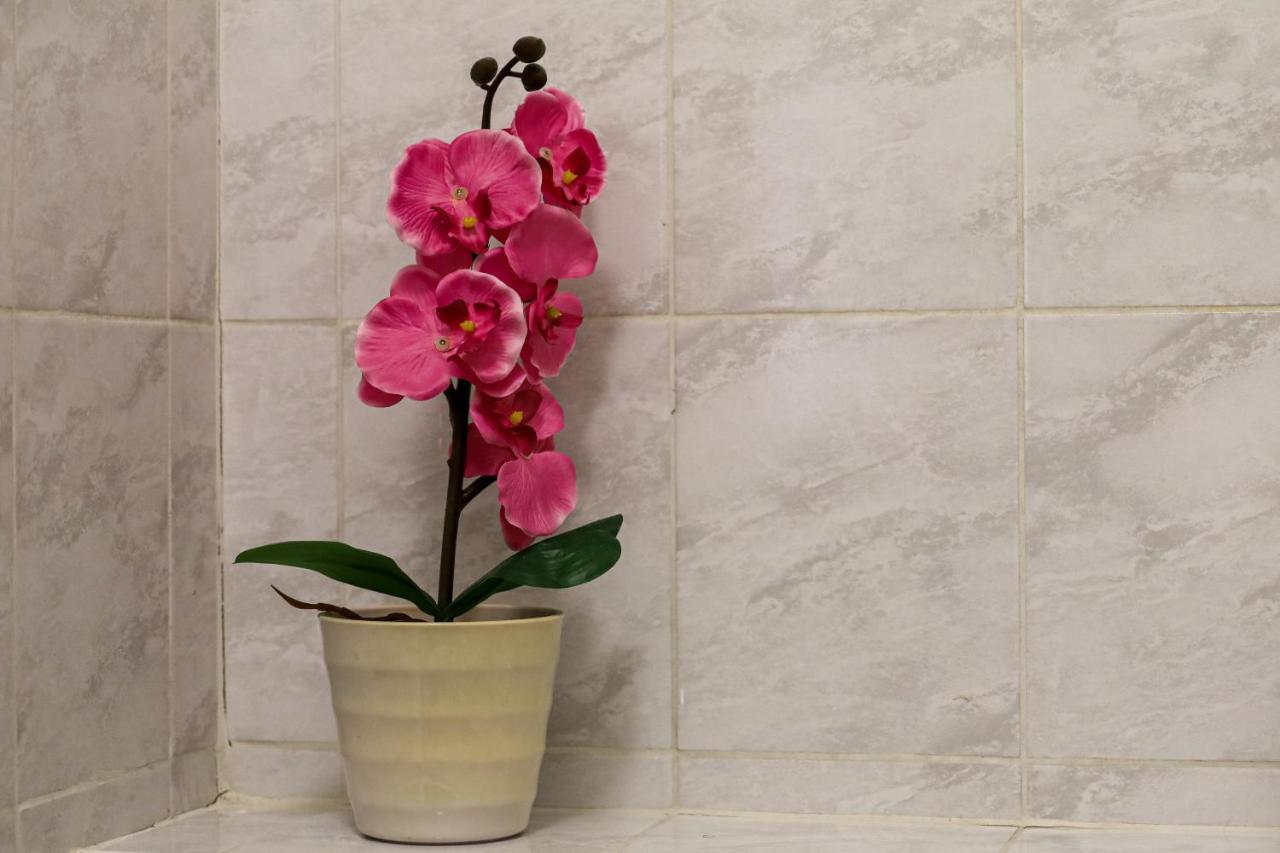 Garden-Eden Apartment Виена Екстериор снимка